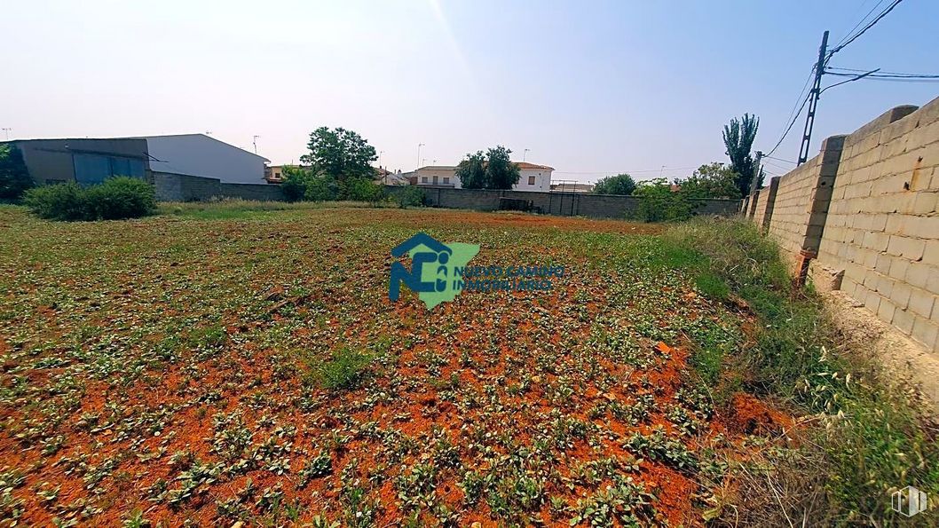 Suelo en venta en Avenida Hontanilla, 50, Los Hinojosos, Cuenca, 16417 con cielo, planta, árbol, flor, botánica, paisaje natural, vegetación, agricultura, hierba y cubierta vegetal alrededor