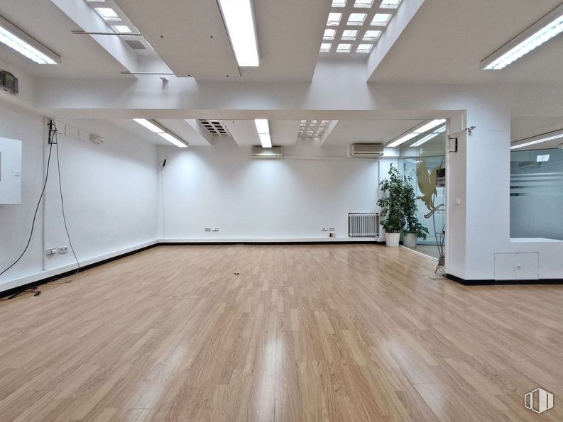 Office for rent at Avenida Comandante Franco, Chamartín, Madrid, 28016 with houseplant, building, fixture, wood, hall, floor, flooring, wood stain, hardwood and laminate flooring around