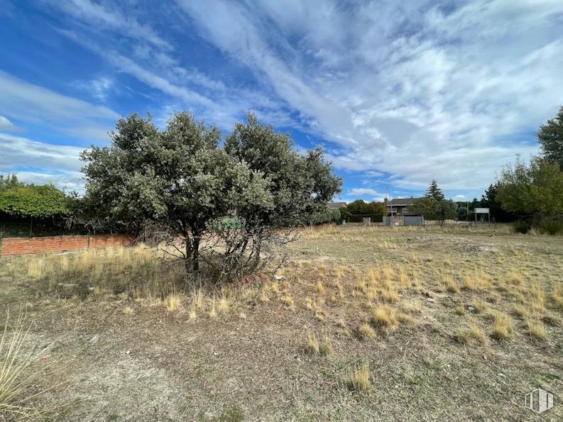 Suelo en venta en Calle Mar Egeo, 9, Galapagar, Madrid, 28260 con vegetación, arbusto, comunidad vegetal, ecorregión, matorral, hierbas, planta leñosa, sabana, estepa y pradera alrededor