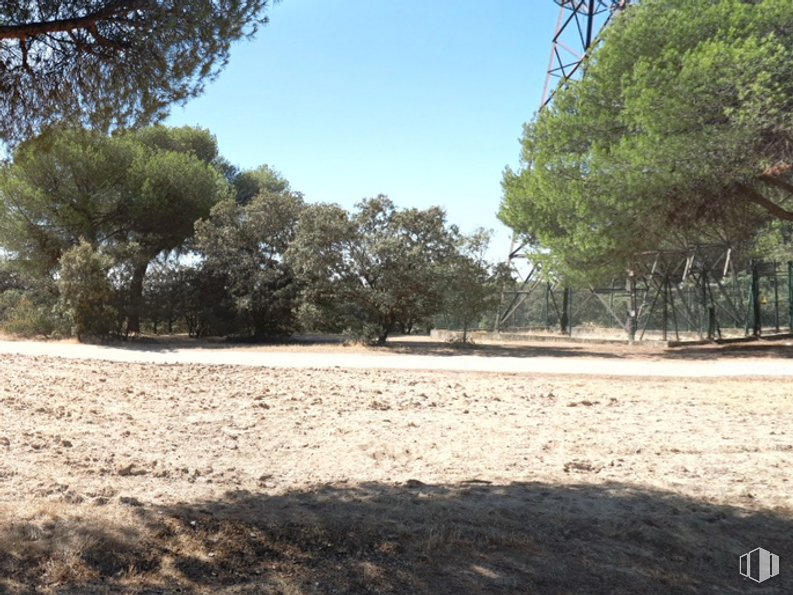 Suelo en venta en Cerro del Espino, Majadahonda, Madrid, 28220 con cielo, planta, paisaje natural, sombra, árbol, superficie de la carretera, terreno, asfalto, baúl y hierba alrededor