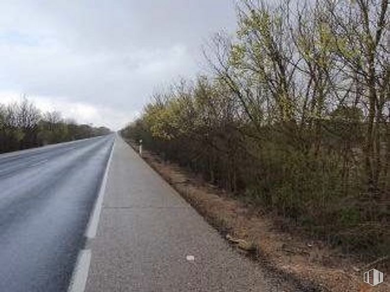 Land for sale at Zona El Provencio, El Provencio, Cuenca, 16670 with cloud, plant, sky, road surface, asphalt, natural landscape, tar, tree, thoroughfare and grass around