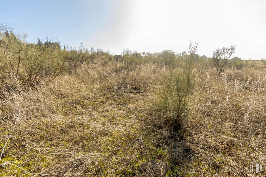 Land for sale at Urbanización La Pozuela, Toledo, 45004 with sky, cloud, plant, natural landscape, twig, plain, shrub, landscape, grassland and grass around