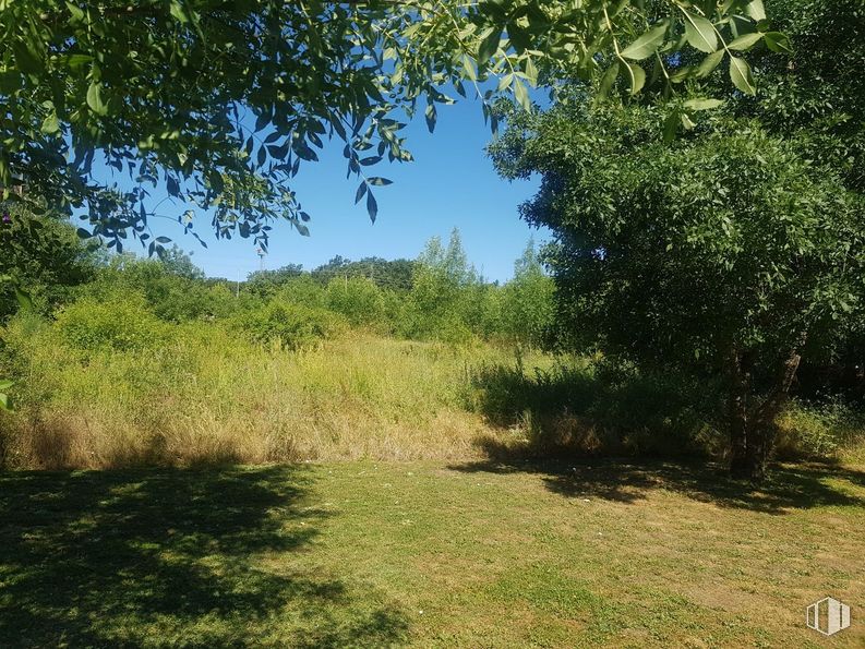 Suelo en venta en La Granja, San Ildefonso, Segovia, 40100 con planta, cielo, rama, paisaje natural, árbol, sombra, ramita, planta leñosa, hierba y pastizal alrededor