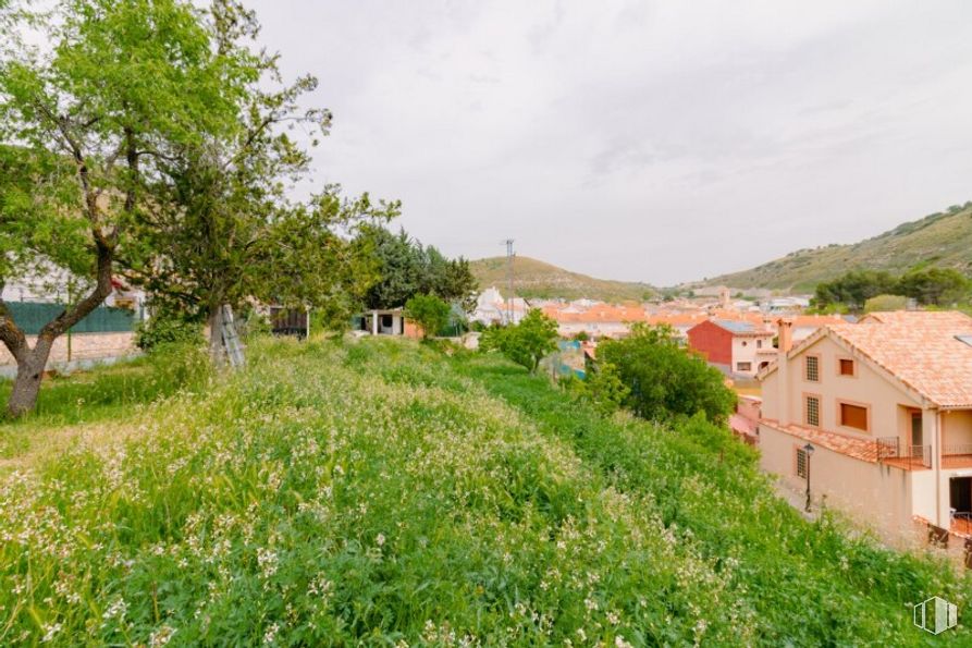 Land for sale at Calle San Roque, Valverde de Alcalá, Madrid, 28812 with house, plant, flower, sky, cloud, building, tree, natural landscape, vegetation and land lot around