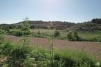 Land for sale at Zona Puerta de Murcia - Colegios, Ocaña, Toledo, 45300 with sky, plant, natural landscape, tree, plain, grassland, landscape, road, meadow and shrub around