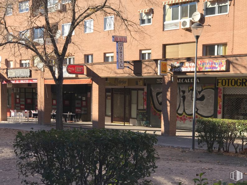 Retail for sale & for rent at Calle Hermanos Fernández Galiano, 5, Guadalajara, 19004 with building, window, plant, architecture, urban design, neighbourhood, tree, residential area, facade and real estate around