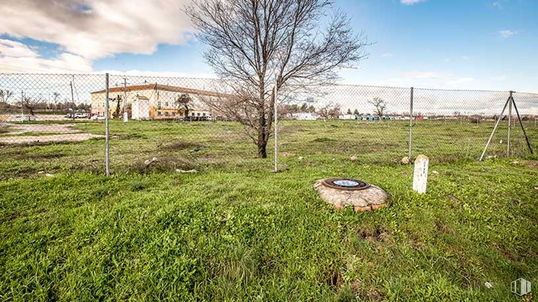 Land for sale at Avenida Aragón - Parcela T.3.5.402, 14, San Blas - Canillejas, Madrid, 28022 with squash, cloud, sky, plant, daytime, ecoregion, natural landscape, nature, natural environment and land lot around