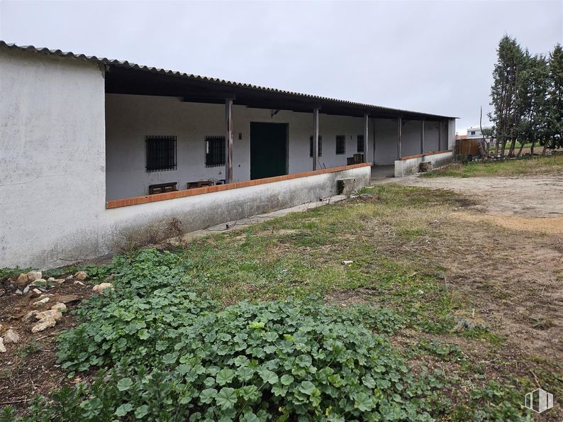 Nave en alquiler y venta en Centro Urbano, Carranque, Toledo, 45216 con puerta, planta, comunidad vegetal, cielo, ventana, árbol, lote de terreno, hierba, edificio y accesorio alrededor