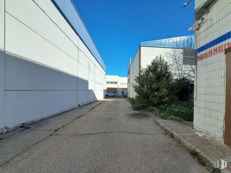 Nave en alquiler y venta en Camino Ancho, Daganzo de Arriba, Madrid, 28814 con edificio, cielo, planta, superficie de la carretera, asfalto, arquitectura, lote de terreno, árbol, pared y alquitrán alrededor