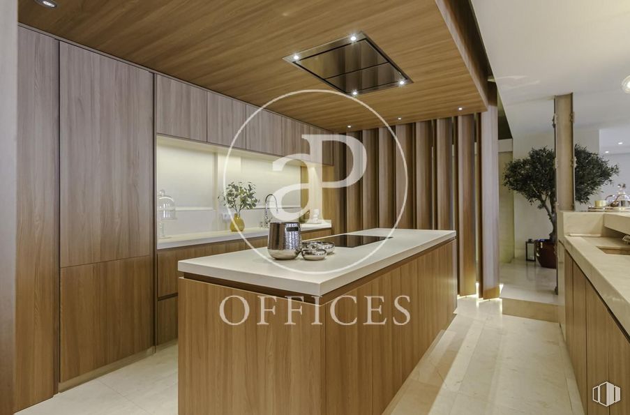 Oficina en alquiler en Calle Gran Vía, Centro, Madrid, 28013 con ebanistería, mueble, planta, encimera, planta de interior, edificio, madera, maceta, diseño de interiores y suelo alrededor