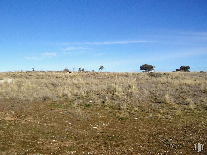 Land for sale at Carretera de Ávila, Mediana de Voltoya, Ávila, 05194 with sky, cloud, plant, natural landscape, tree, grass, grassland, landscape, meadow and road around