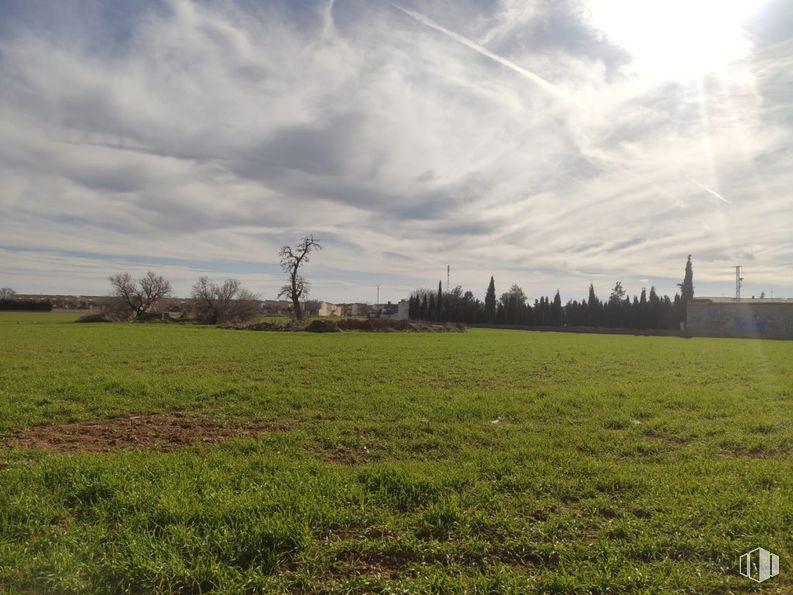 Suelo en venta en Zona expansión, Quintanar de la Orden, Toledo, 45800 con cielo, durante el día, hierba, entorno natural, verde, naturaleza, nube, plantas, pradera y llano alrededor