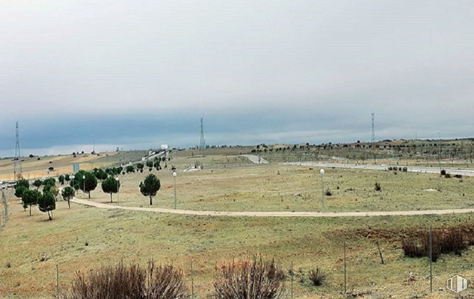 Land for sale at Plaza Sector, Horche, Guadalajara, 19140 with animal, sky, cloud, plant, land lot, tree, natural landscape, plain, grassland and water around