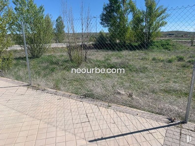 Land for sale at Calle Jesús Grande Aparicio, Ávila, 05002 with plant, property, sky, land lot, road surface, grass, slope, composite material, groundcover and wire fencing around