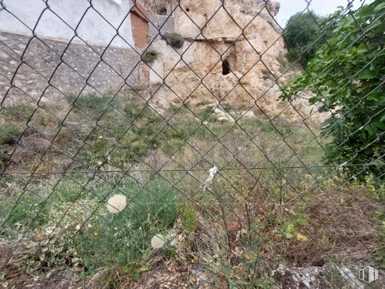 Land for sale at Travesía Castillejo, 15, Los Santos de la Humosa, Madrid, 28817 with plant, fence, grass, mesh, wire fencing, tree, bedrock, soil, terrestrial animal and chain-link fencing around