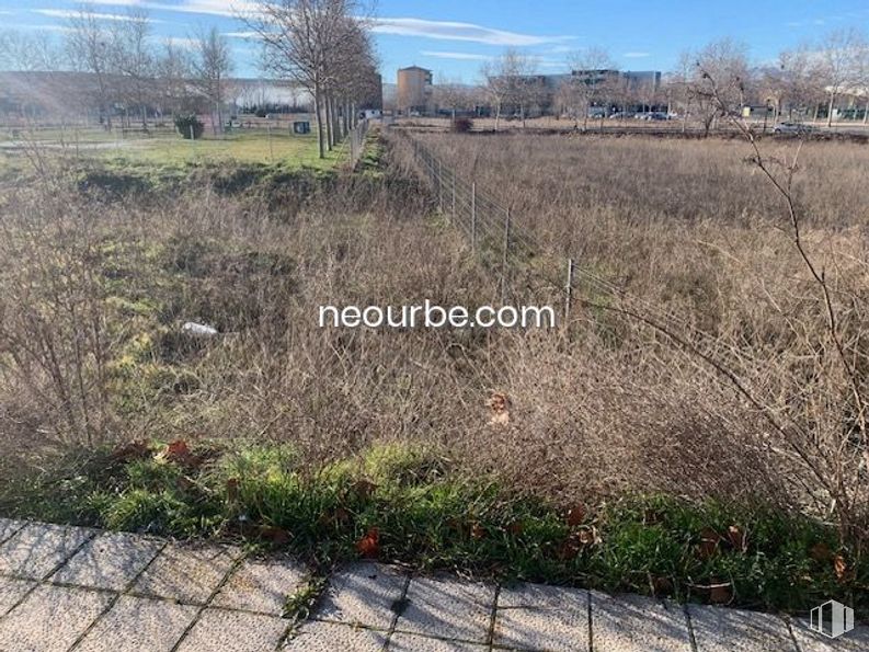 Land for sale at Urbanización Santo Tomé, Ávila, 05003 with plant, plant community, sky, natural landscape, land lot, tree, grass, road surface, shrub and cloud around