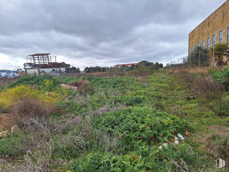 Suelo en venta en Zona industrial, Valdeolmos-Alalpardo, Madrid, 28130 con edificio, nube, cielo, planta, comunidad vegetal, paisaje natural, lote de terreno, arbusto, árbol y cubierta vegetal alrededor