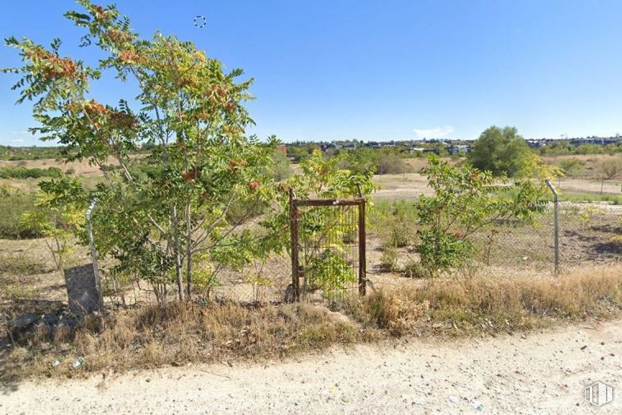 Suelo en venta en Zona del Arcipreste, Majadahonda, Madrid, 28220 con animal, cielo, planta, comunidad de plantas, vegetación, valla, terreno, cercas de alambre, paisaje natural y arbusto alrededor