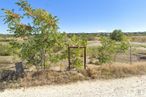 Land for sale at Zona del Arcipreste, Majadahonda, Madrid, 28220 with animal, sky, plant, plant community, vegetation, fence, land lot, wire fencing, natural landscape and shrub around