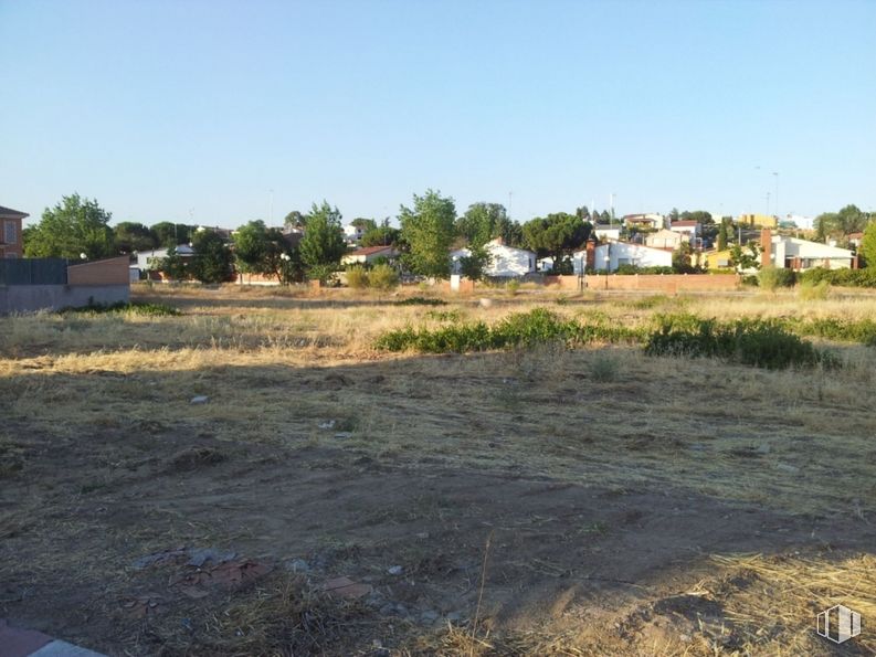 Land for sale at Paseo Olivar, El Álamo, Madrid, 28607 with sky, plant, tree, land lot, grass, natural landscape, asphalt, landscape, plain and house around