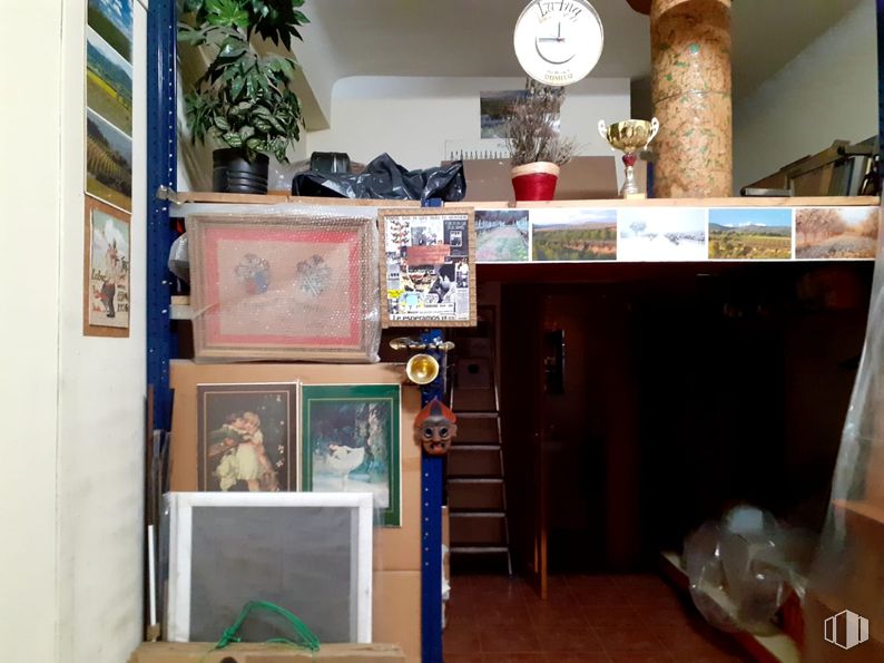 Retail for sale at Calle Juan Álvarez Mendizábal, 29, Moncloa - Aravaca, Madrid, 28008 with houseplant, picture frame, light fixture, interior design, shelving, room, shelf, wood stain, collection and hardwood around