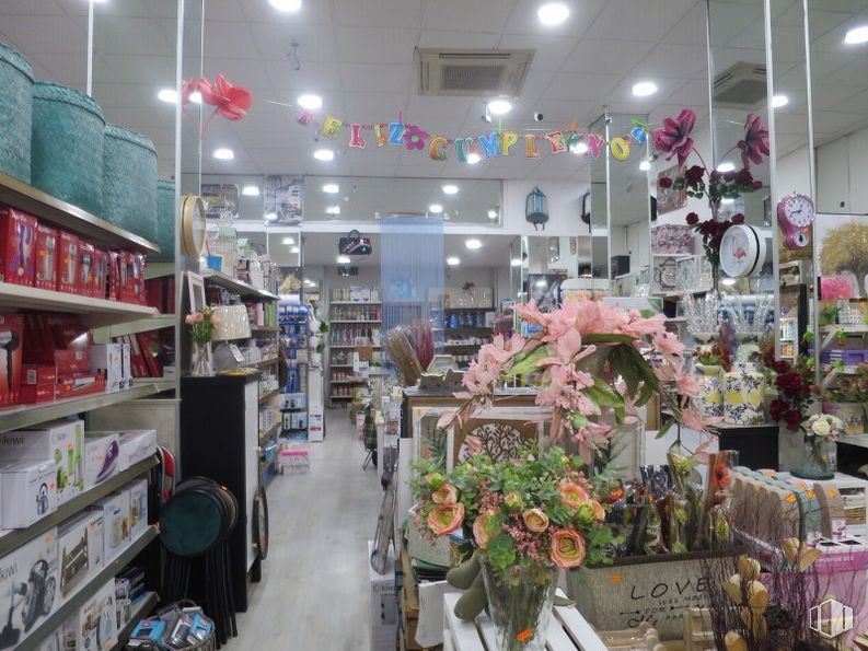 Retail for sale at Calle Valencia, 30, Centro, Madrid, 28012 with luggage & bags, product, plant, shelf, lighting, interior design, flower, retail, customer and floor around