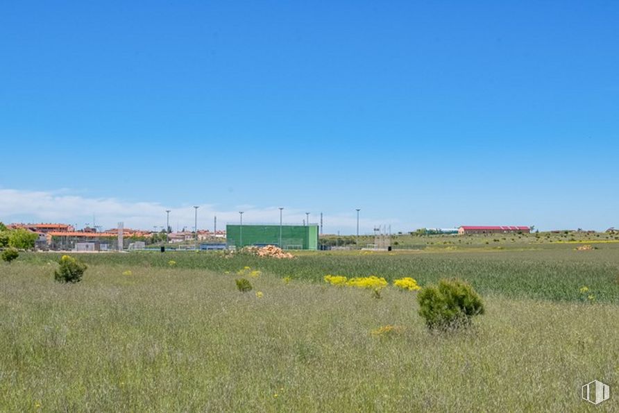 Suelo en venta en Las Zumaqueras, La Lastrilla, Segovia, 40196 con planta, cielo, flor, paisaje natural, árbol, lote de tierra, pastizal, horizonte, paisaje y llanura alrededor