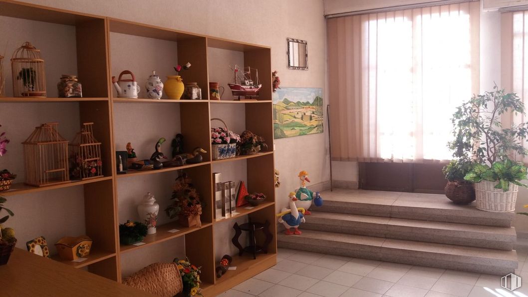 Local en alquiler en Calle Virgen, Mozoncillo, Segovia, 40250 con planta de interior, mueble, estantería, estante, madera, interiorismo, suelos, suelo, habitación y maceta alrededor