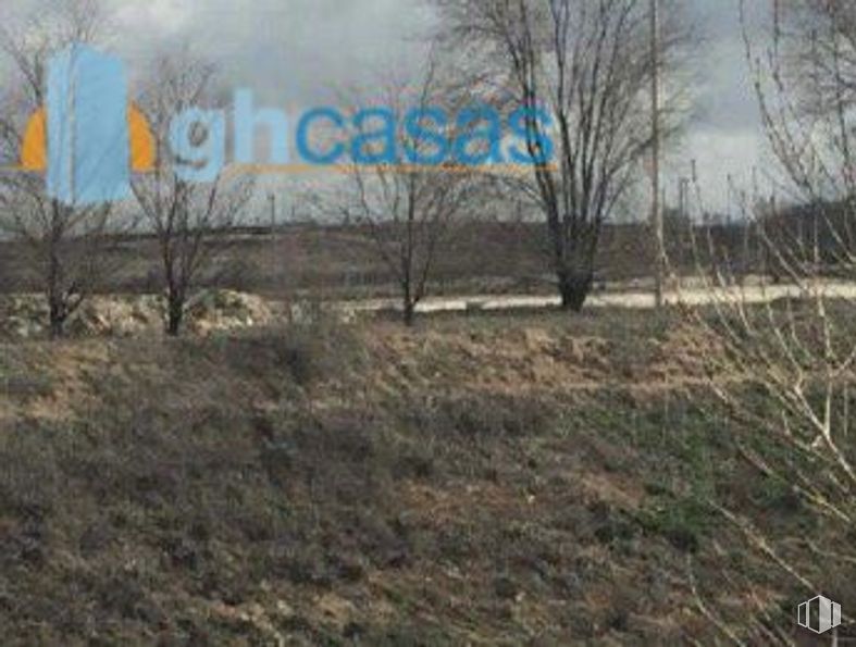 Land for sale at Calle Villagonzalo Pedernales, Vicálvaro, Madrid, 28052 with plant, plant community, cloud, natural landscape, sky, land lot, tree, grass, twig and grassland around