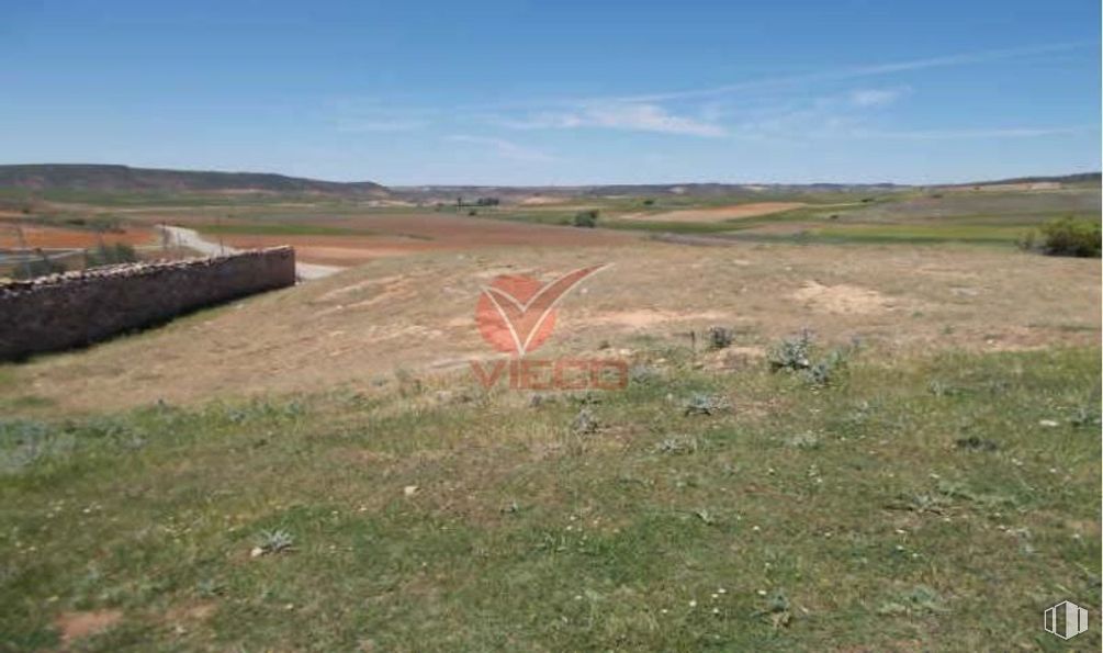 Land for sale at Casco urbano, Olmeda del Rey, Cuenca, 16216 with animal, sky, plant community, cloud, plant, ecoregion, natural landscape, land lot, grass and plain around