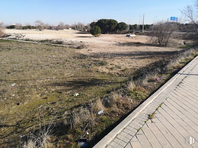 Suelo en venta en Calle Pirotecnia, Vicálvaro, Madrid, 28052 con cielo, planta, lote de tierra, madera, paisaje natural, hierba, superficie de la carretera, bioma, árbol y paisaje alrededor