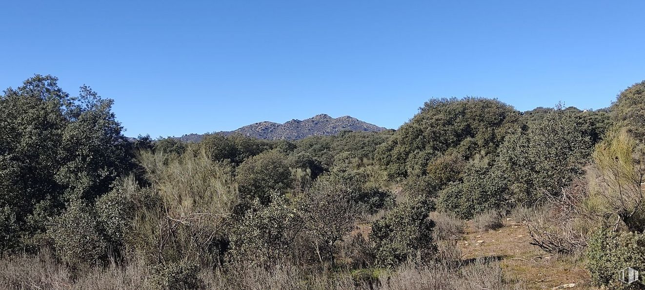 Land for sale at Cerro Ramos, s/n, Colmenar del Arroyo, Madrid, 28213 with sky, natural landscape, mountain, shrub, landscape, grassland, plant, grass, hill and forest around