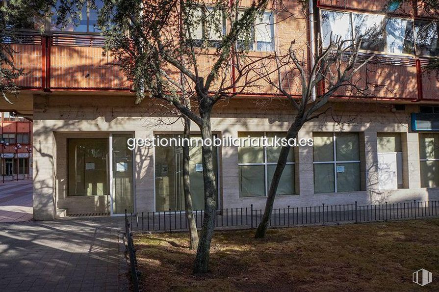 Retail for rent at Plaza de Santa Ana, Ávila, 05001 with window, building, property, branch, tree, wood, sunlight, twig, neighbourhood and wall around