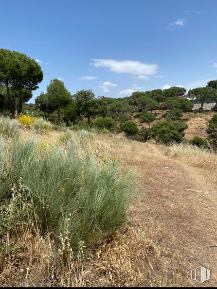 Land for sale at Zona pantano de San Juan, Navas del Rey, Madrid, 28695 with plant, sky, cloud, tree, natural landscape, land lot, grass, terrestrial plant, plain and groundcover around