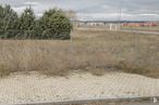 Land for sale at Calle Bartolomé de las Casas, Ávila, 05002 with sky, cloud, plant, ecoregion, land lot, natural landscape, tree, grass, plain and wire fencing around