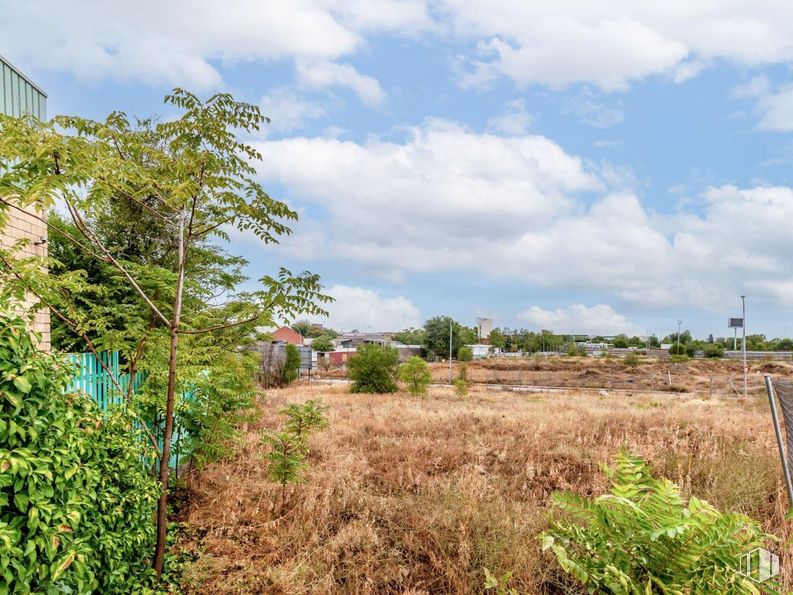 Land for sale at Calle Enero, 22, San Blas - Canillejas, Madrid, 28022 with plant, sky, cloud, plant community, natural landscape, tree, plain, landscape, grass and grassland around