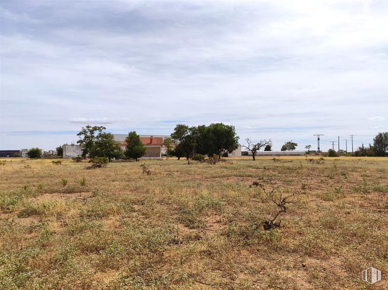 Land for sale at CM-410, Quintanar de la Orden, Toledo, 45800 with sky, cloud, plant, natural landscape, tree, grass, landscape, grassland, agriculture and plain around