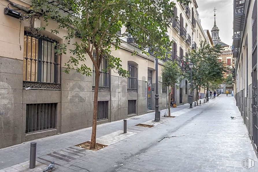 Retail for sale at Calle Nao, 8, Centro, Madrid, 28004 with window, building, road surface, neighbourhood, urban design, tree, house, flooring, tints and shades and facade around