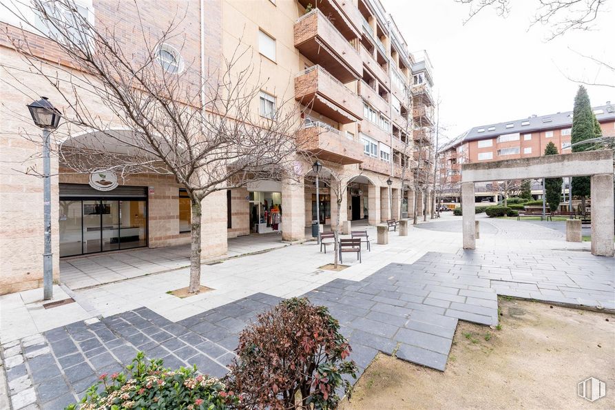 Local en venta en Calle San Fernando, Collado Villalba, Madrid, 28400 con edificio, planta, ventana, superficie de la carretera, diseño urbano, arquitectura, árbol, barrio, zona residencial y condominio alrededor