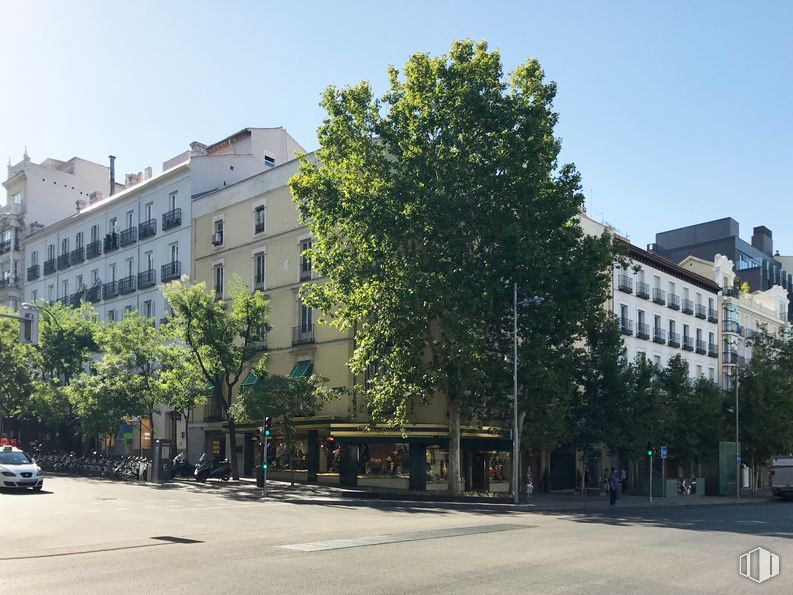 Local en alquiler en Calle Serrano, Salamanca, Madrid, 28001 con edificio, coche, cielo, ventana, árbol, diseño urbano, superficie de la carretera, condominio, pared, barrio residencial y fachada alrededor