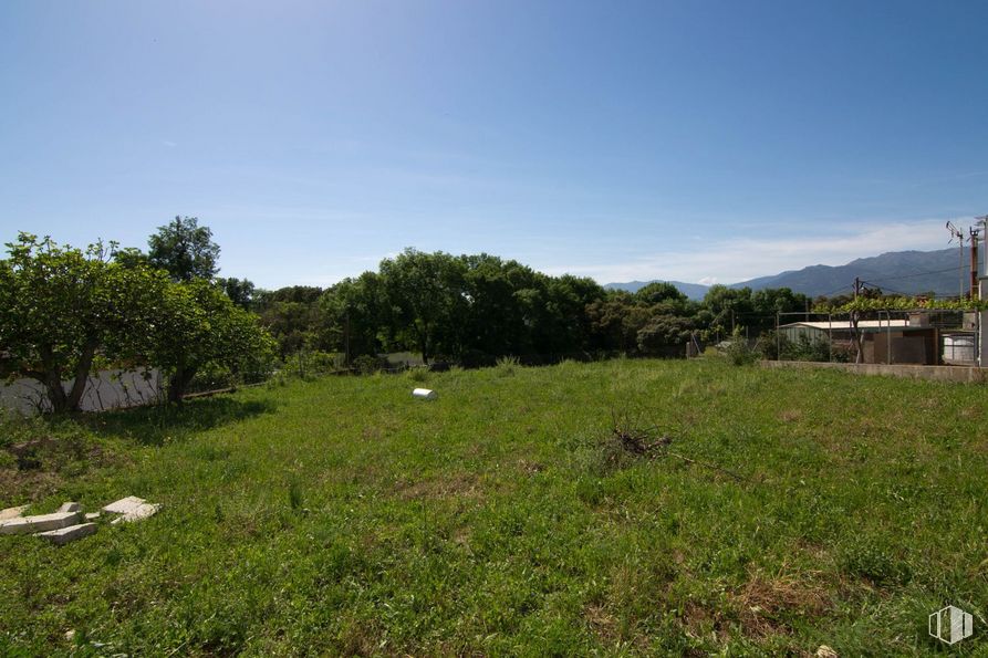 Land for sale at Calle Cotano de la Oliva, Sartajada, Toledo, 45632 with sky, plant, plant community, natural landscape, land lot, tree, grassland, grass, plain and landscape around