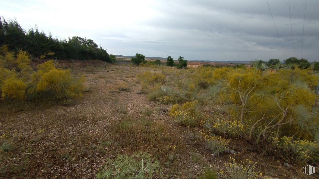 Land for sale at Urbanización El Soto, Estremera, Madrid, 28595 with cloud, sky, plant, natural landscape, land lot, tree, landscape, grassland, plain and grass around