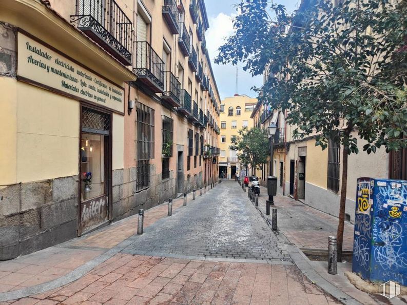 Local en alquiler en Calle Madera, 33, Centro, Madrid, 28004 con edificio, ventana, cielo, superficie de la carretera, árbol, arquitectura, planta, barrio, acera y diseño urbano alrededor