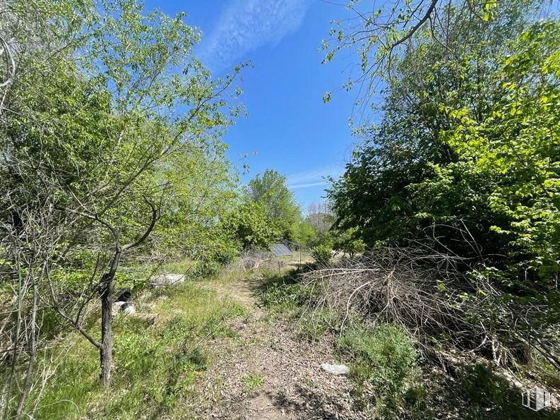 Suelo en venta en Polígono Industrial El Guijar, Arganda del Rey, Madrid, 28500 con planta, cielo, paisaje natural, ramita, hierba, arbusto, paisaje, árbol, carretera y bosque alrededor