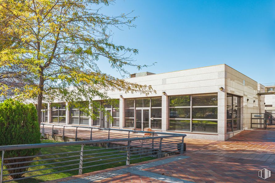 Oficina en alquiler en Edificio Monterrey, Calle Severo Ochoa, 3, Las Rozas de Madrid, Madrid, 28230 con edificio, ventana, cielo, planta, sombra, árbol, madera, diseño urbano, paisaje y superficie de la carretera alrededor