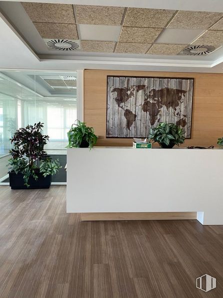 Oficina en alquiler en Edificio 1, Avenida Valdelaparra, 27, Alcobendas, Madrid, 28100 con planta, maceta, envase, planta de casa, madera, rectángulo, piso, edificio, césped, ventana y madera dura alrededor