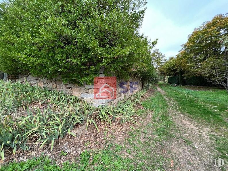 Land for sale at Carretera de Madrid, Miraflores de la Sierra, Madrid, 28792 with plant, plant community, natural landscape, sky, land lot, tree, woody plant, shrub, grass and groundcover around