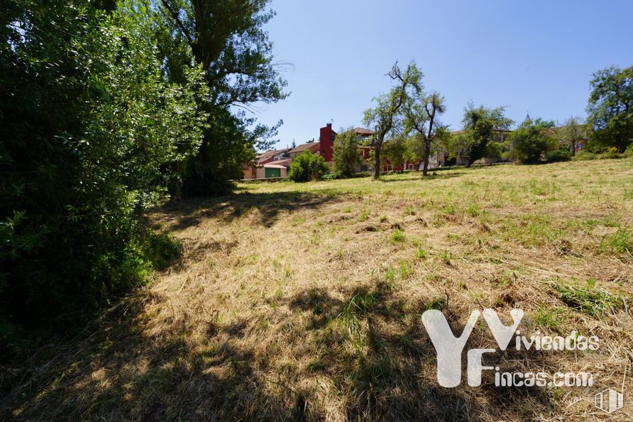 Land for sale at Calle Bajada Escorial, 1, Riaza, Segovia, 40500 with plant, sky, plant community, tree, natural landscape, vegetation, grass, landscape, grassland and meadow around