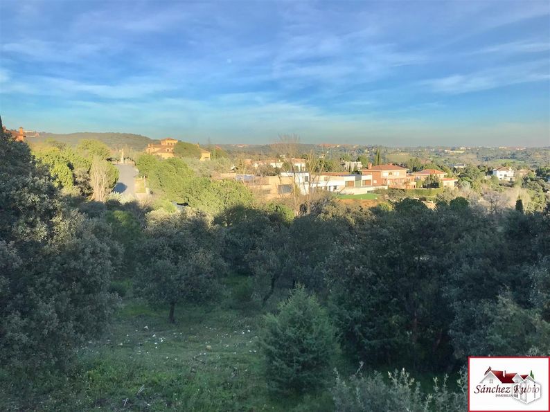 Land for sale at Calle Gerifalte, Las Rozas de Madrid, Madrid, 28230 with sky, cloud, plant, natural landscape, land lot, tree, city, horizon, landscape and plain around