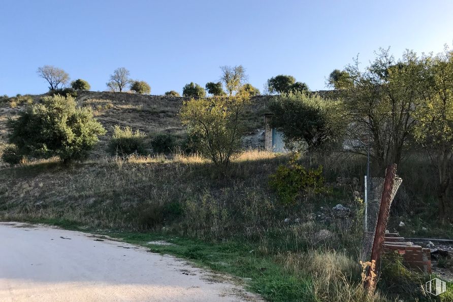 Suelo en venta en Camino Trebelar, 29, Valdilecha, Madrid, 28511 con planta, cielo, comunidad de plantas, ecorregión, paisaje natural, árbol, lote de tierra, arbusto, paisaje y llanura alrededor